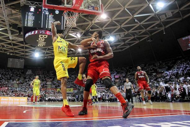 青岛海牛 青岛海牛